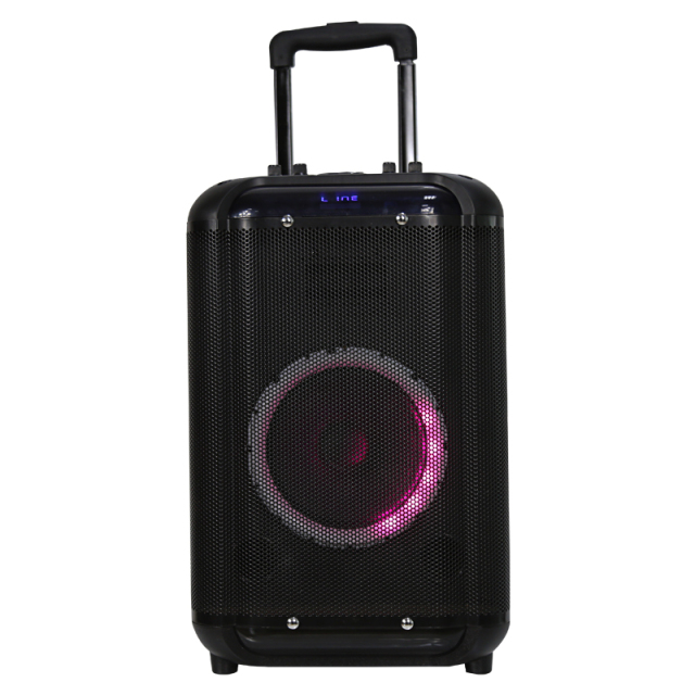 Single 8 inch 10 inch wooden trolley private mold bluetooth speaker