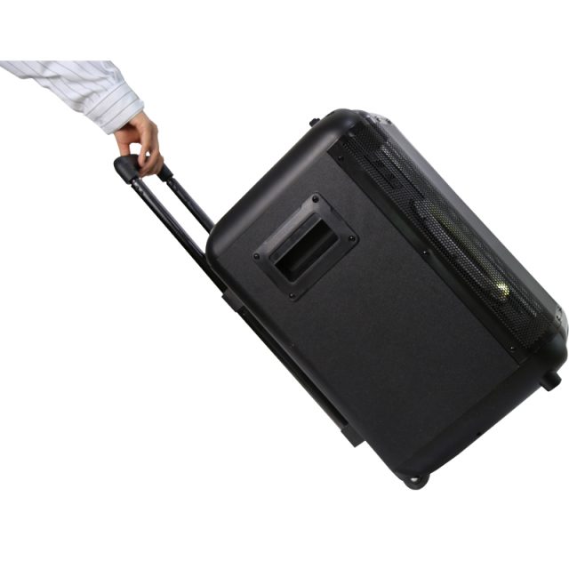 Single 8 inch 10 inch wooden trolley private mold bluetooth speaker