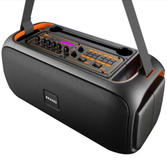 6.5inch woofer portable speaker with straps