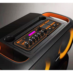 6.5inch woofer portable speaker with straps