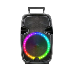 DJ bluetooth newest karaoke trolley speaker 10 inch