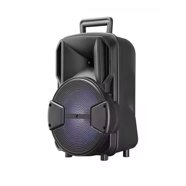TWS rechargeable portable trolley speaker 12 inch
