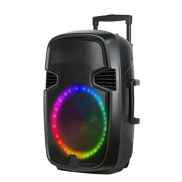 DJ bluetooth newest karaoke trolley speaker 10 inch