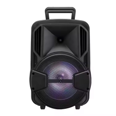 TWS rechargeable portable trolley speaker 12 inch