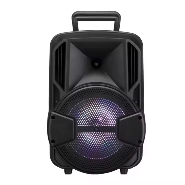 TWS rechargeable portable trolley speaker 12 inch