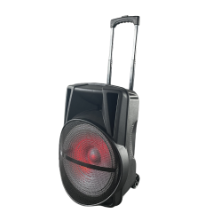 Power karaoke outdoor FM audio 40W speaker sound box