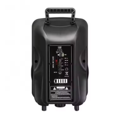 TWS rechargeable portable trolley speaker 12 inch
