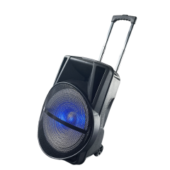 Power karaoke outdoor FM audio 40W speaker sound box