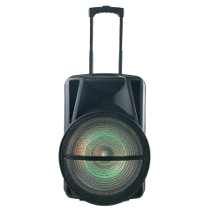 Power karaoke outdoor FM audio 40W speaker sound box