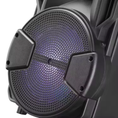 TWS rechargeable portable trolley speaker 12 inch