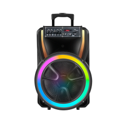 Sound audio portable party trolley subwoofer music speaker