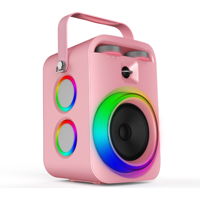 5 inch woofer wireless battery portable speaker