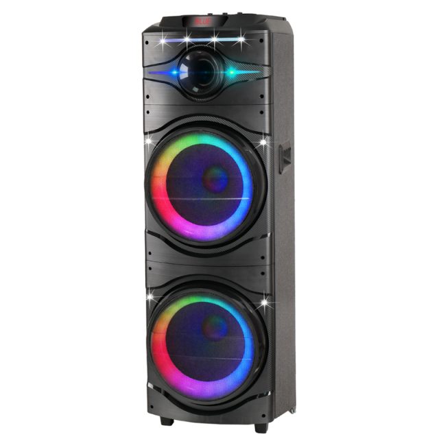 Dual 12 Inch Big Bass Wireless Bluetooth Party Speaker with Guitar Input