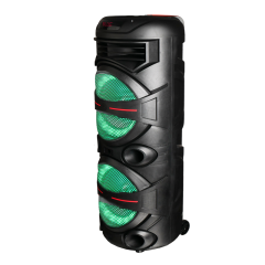 Hot sale 12 inch rechargeable bluetooth wireless hifi karaoke speaker