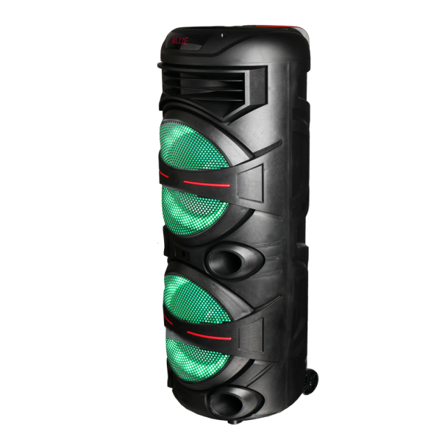 Hot sale 12 inch rechargeable bluetooth wireless hifi karaoke speaker