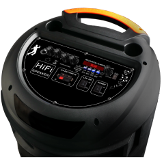 Hot sale 12 inch rechargeable bluetooth wireless hifi karaoke speaker