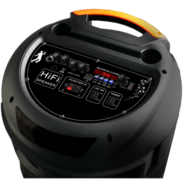 Hot sale 12 inch rechargeable bluetooth wireless hifi karaoke speaker