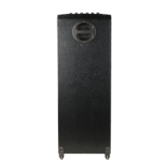 AUX in RMS 80W Karaoke bluetooth mp3 player speaker