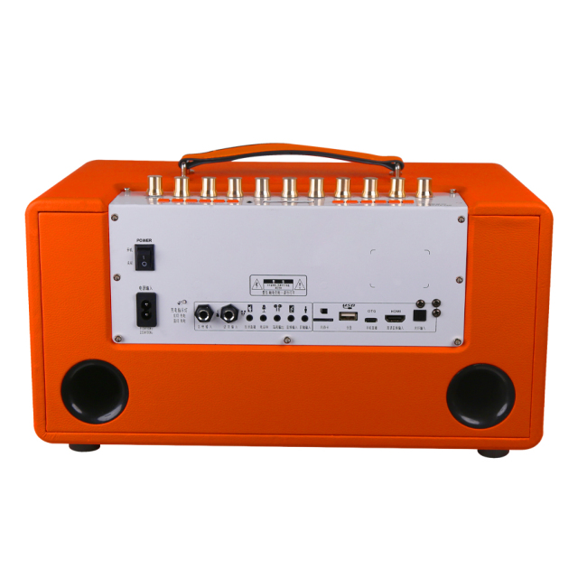 Portable wifi karaoke party PA system