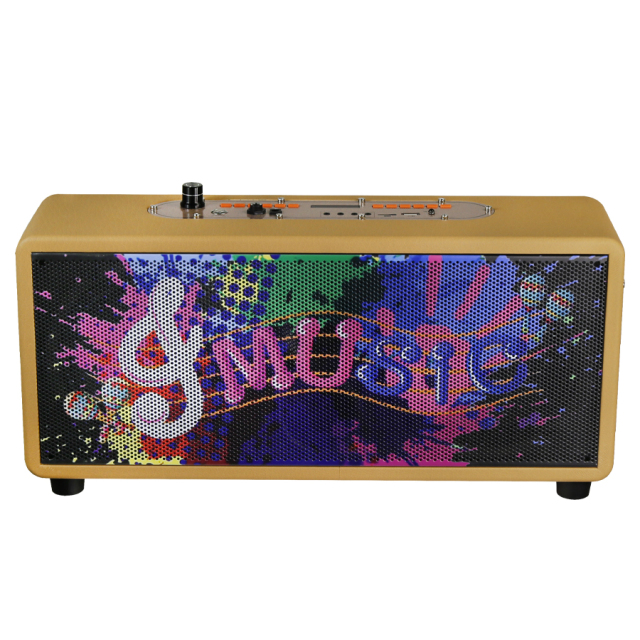 Bluetooth wireless karaoke speaker with mic