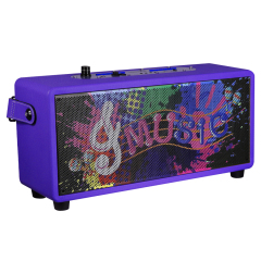 Bluetooth wireless karaoke speaker with mic