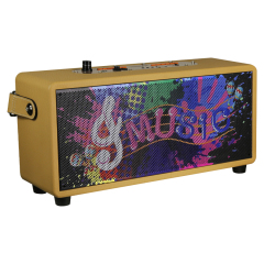 Bluetooth wireless karaoke speaker with mic
