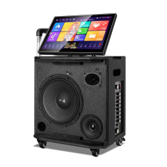 Wifi karaoke machine trolley speaker with touch screen