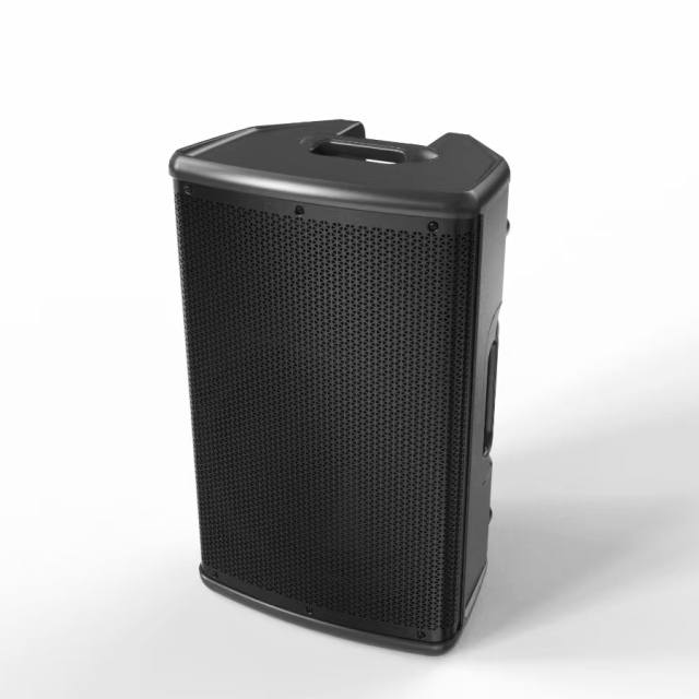 15 inch 600W plasic passive speakers