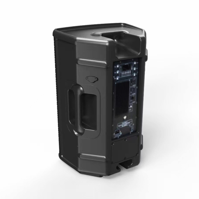 15 inch 600W plasic passive speakers