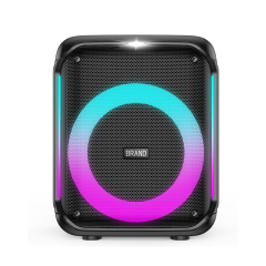 Model Q3 8 inch party bluetooth portable wireless speaker with big power
