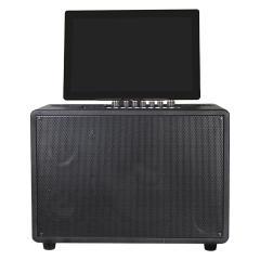 Smart karaoke speaker with 14.1 inch touch screen