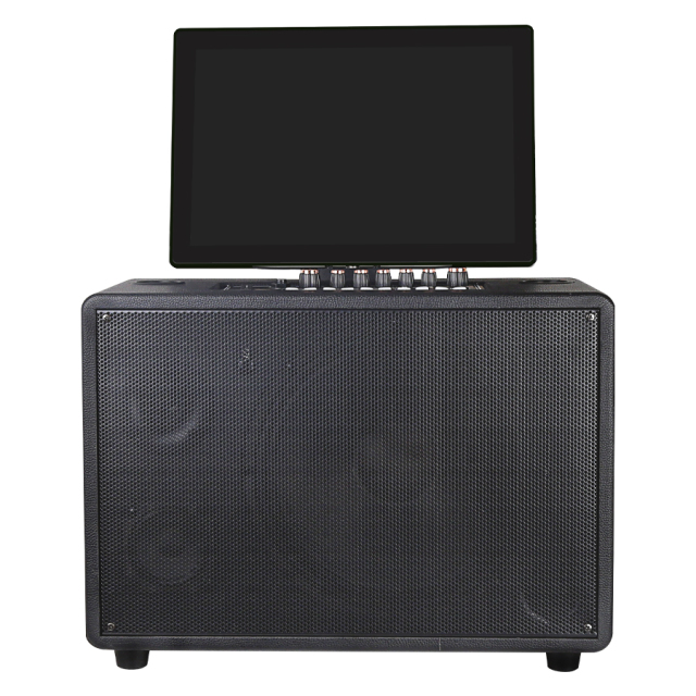 Smart karaoke speaker with 14.1 inch touch screen