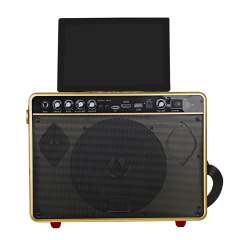 Android system karaoke Machine for Adults, Karaoke Machine with Display Screen, Portable