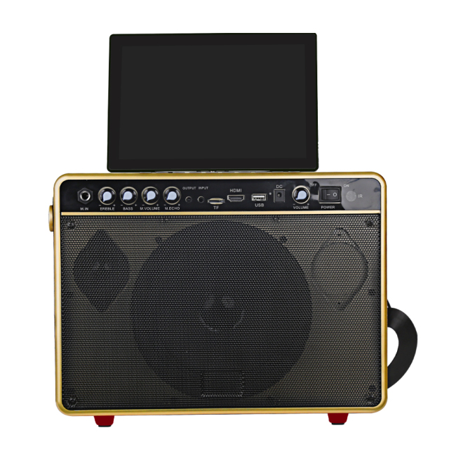 Android system karaoke Machine for Adults, Karaoke Machine with Display Screen, Portable