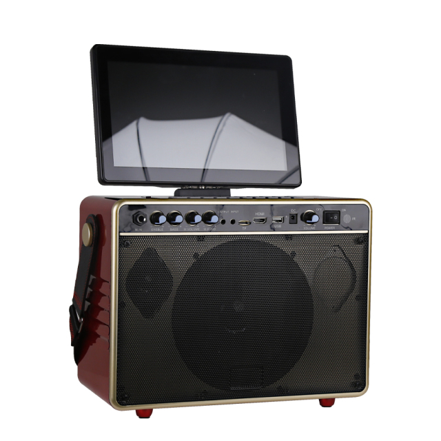 Android system karaoke Machine for Adults, Karaoke Machine with Display Screen, Portable