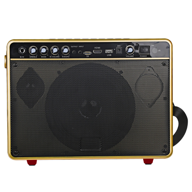 Android system karaoke Machine for Adults, Karaoke Machine with Display Screen, Portable