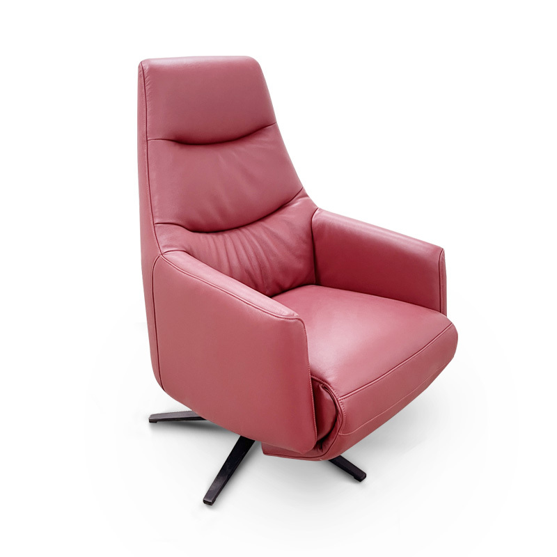 Contact surface cowhide fabric comfortable double mute motor electric leisure chair, small multi-functional sofa recliner for home