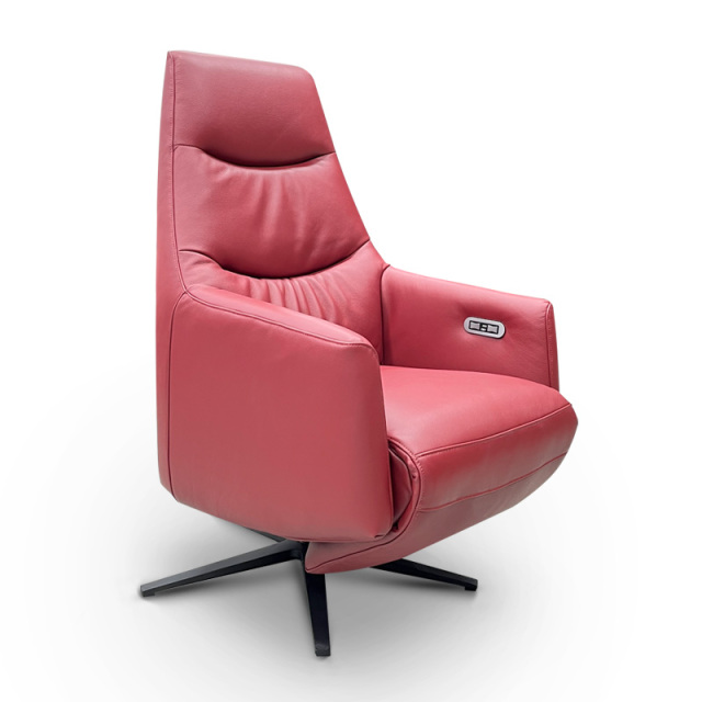 Contact surface cowhide fabric comfortable double mute motor electric leisure chair, small multi-functional sofa recliner for home