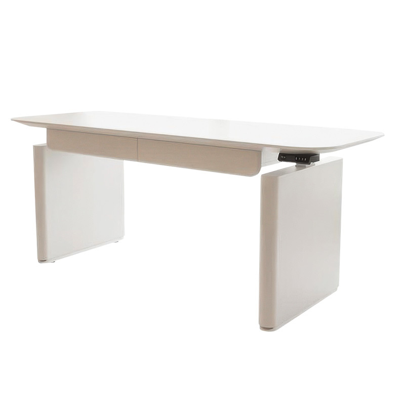 Multi-functional electric lifting desk students home light luxury modern large size bedroom double computer desk side by side