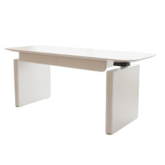 Multi-functional electric lifting desk students home light luxury modern large size bedroom double computer desk side by side
