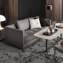 Italy Northern Europe high-end imported modern living room guest combination sofa, 3 seats