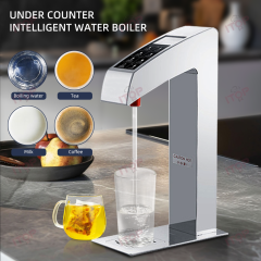 BIWD-10H Split Design Fast Heating Intelligent Step Heating Cold Boiling Water Dispenser Machine