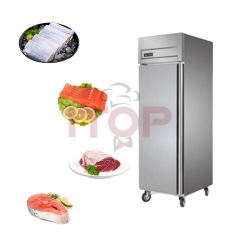 IT-RD1-5 No Frost Stainless Steel Upright Single Door 500L Commercial Refrigerator Freezer