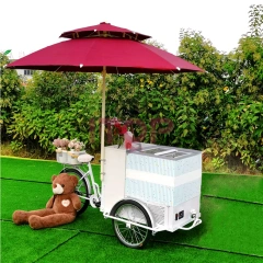 IT-ICC-MA100 Ice Cream Freezer Cart Fast Food Car Trailer Mobile Food Truck
