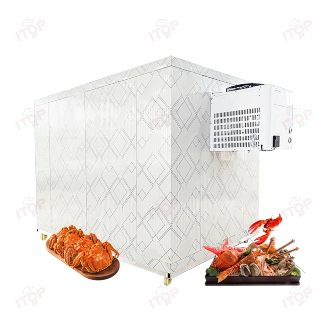 3T Mobile Cold Storage Container Freezer Room Walk In Cooler Storage Room For Fish Fruit Meat Walk In Freezer Room
