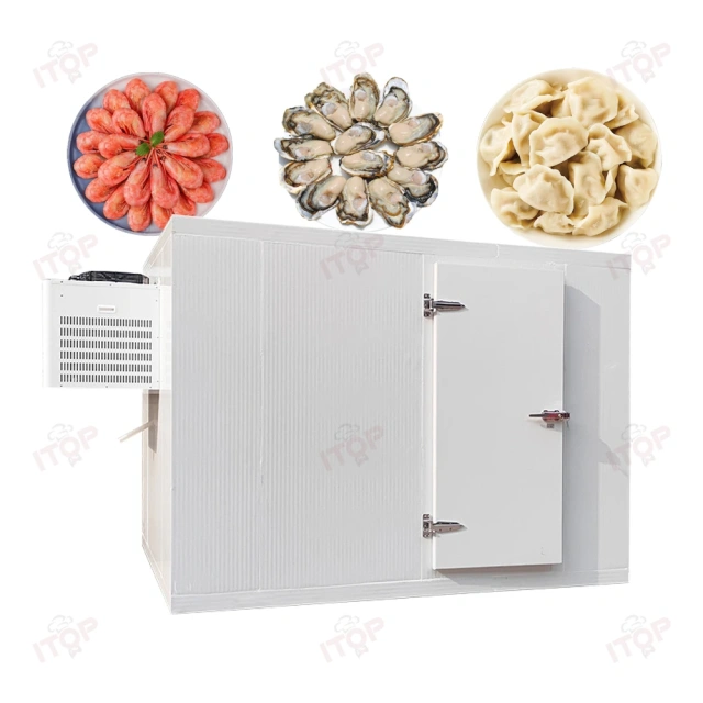 3T Mobile Cold Storage Container Freezer Room Walk In Cooler Storage Room For Fish Fruit Meat Walk In Freezer Room