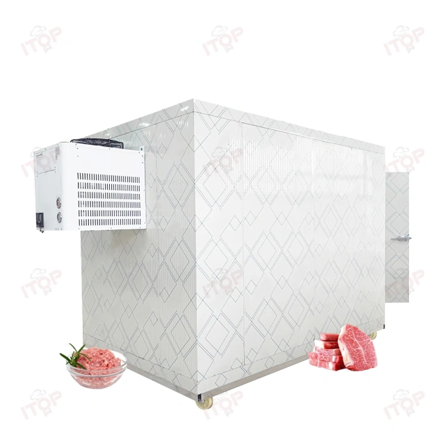 3T Mobile Cold Storage Container Freezer Room Walk In Cooler Storage Room For Fish Fruit Meat Walk In Freezer Room