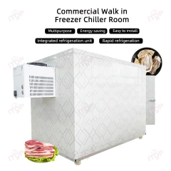 3T Mobile Cold Storage Container Freezer Room Walk In Cooler Storage Room For Fish Fruit Meat Walk In Freezer Room
