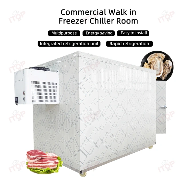 3T Mobile Cold Storage Container Freezer Room Walk In Cooler Storage Room For Fish Fruit Meat Walk In Freezer Room