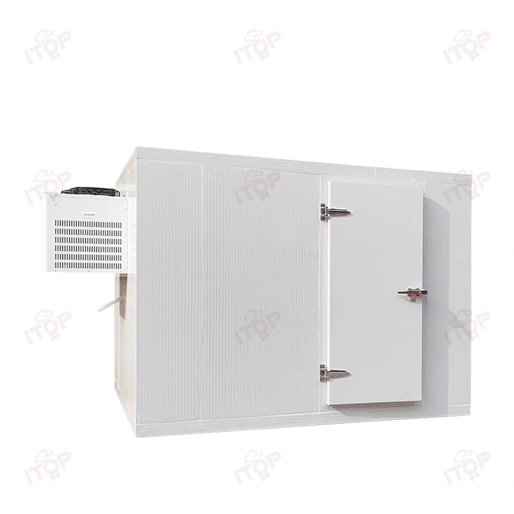 3T Mobile Cold Storage Container Freezer Room Walk In Cooler Storage Room For Fish Fruit Meat Walk In Freezer Room